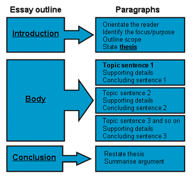 Essay Example University